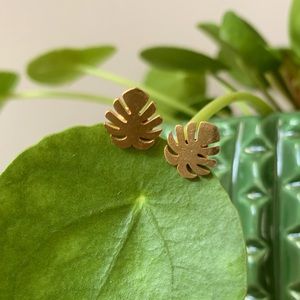 Monstera Deliciosa Leaf stud earrings stainless
